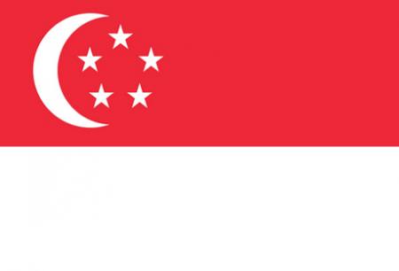 新加坡签证（探亲）