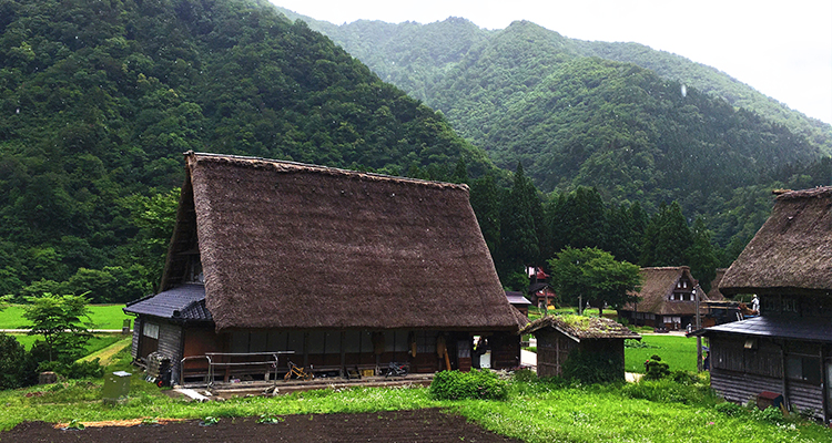 大连 青旅国际旅行社有限公司·专业旅行助理-大连 青