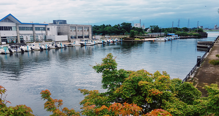府天满宫】电询满意度:100%%【日本】日本樱花7日游【大阪城公园/银座
